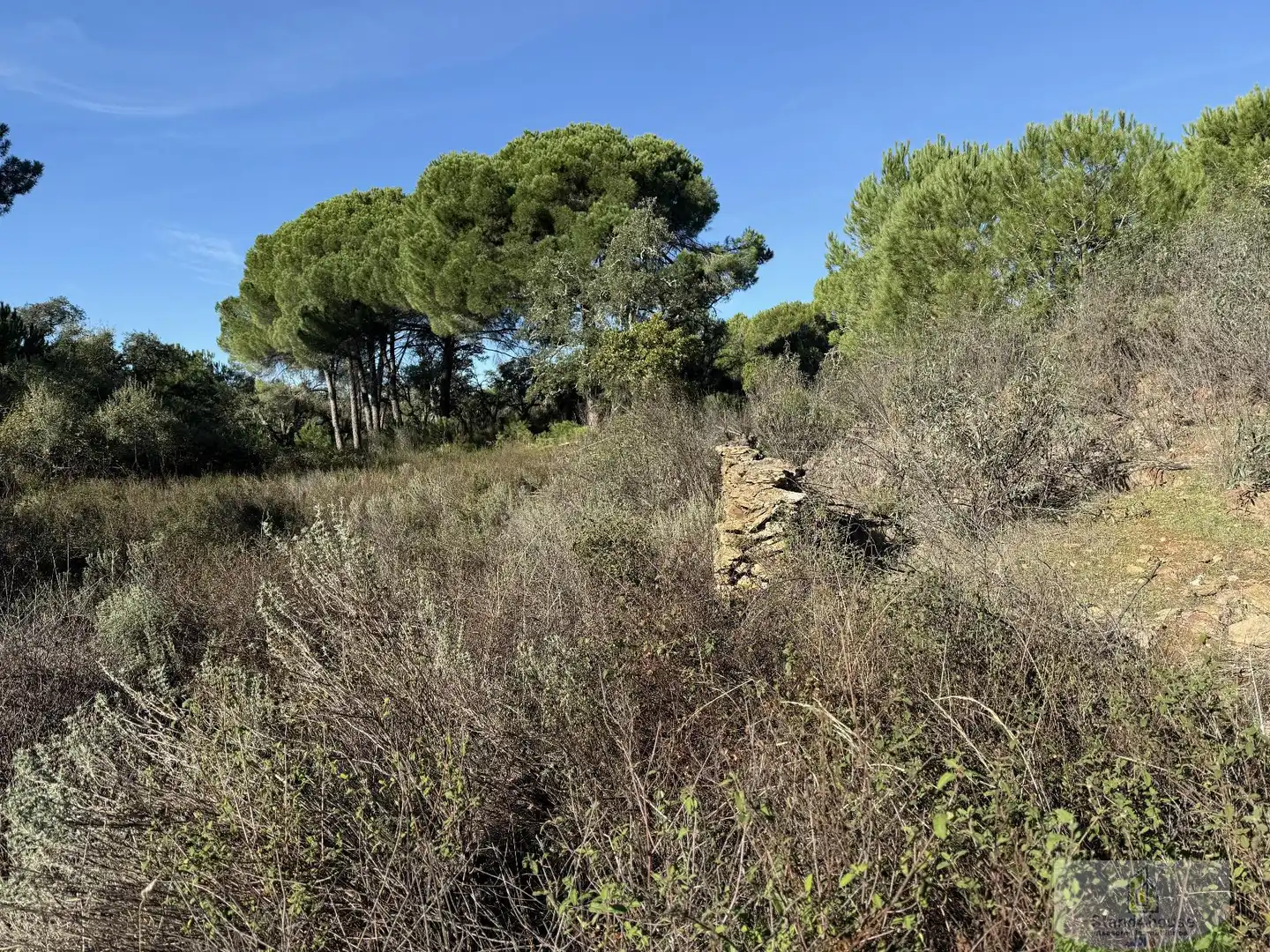 Residencial en venda en Berrocal