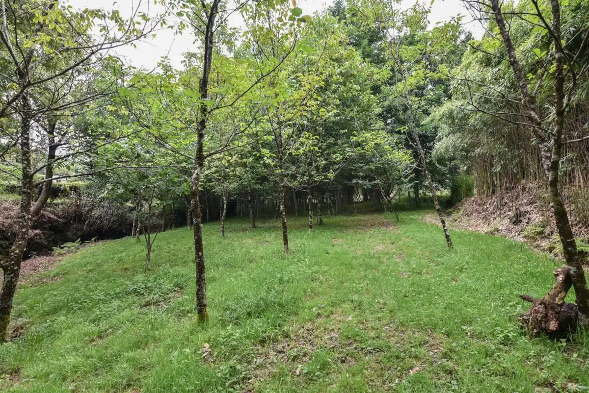 Casa o xalet en venda en Mondariz amb Jardí privat, Terrassa i Traster
