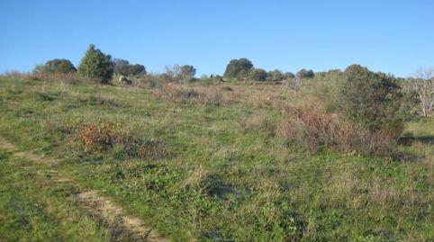Finca rústica en Cenicientos, immagine 4