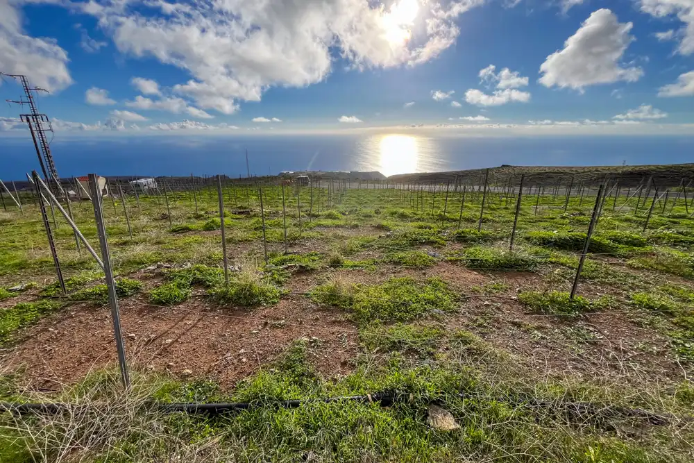 Finca rústica en venda en Vallehermoso