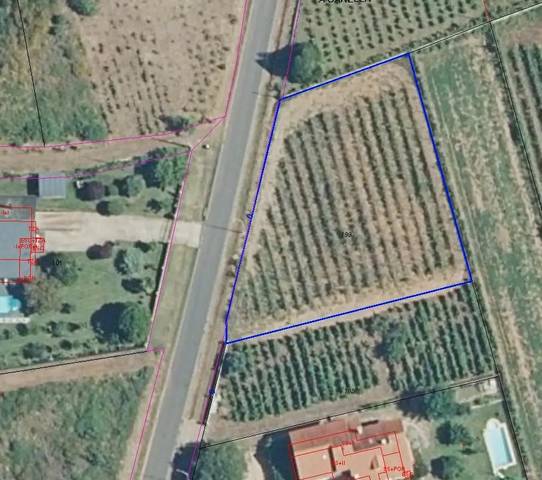Terreno en Venta en Verín
