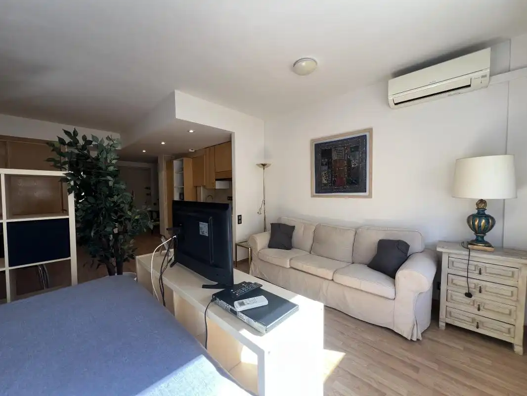 Living room of Study for rent in Madrid  with Air Conditioner, Heating and Swimming Pool