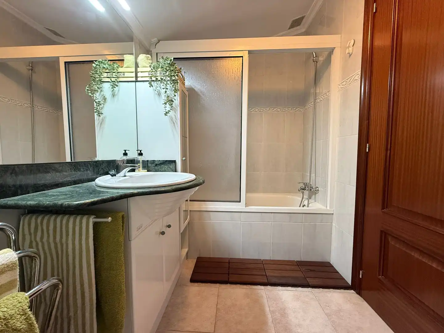 Bathroom of Detached homes for sale in Asteasu  with Terrace, Furnished and Balcony