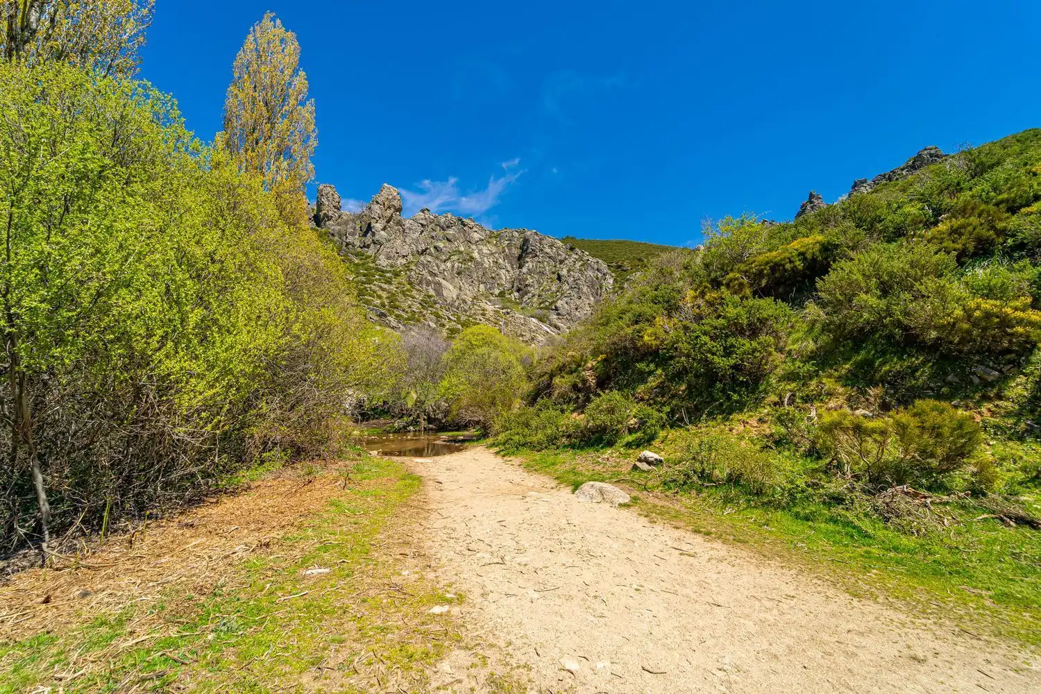 Vista exterior de Casa o chalet en venta en Somosierra con Aire acondicionado