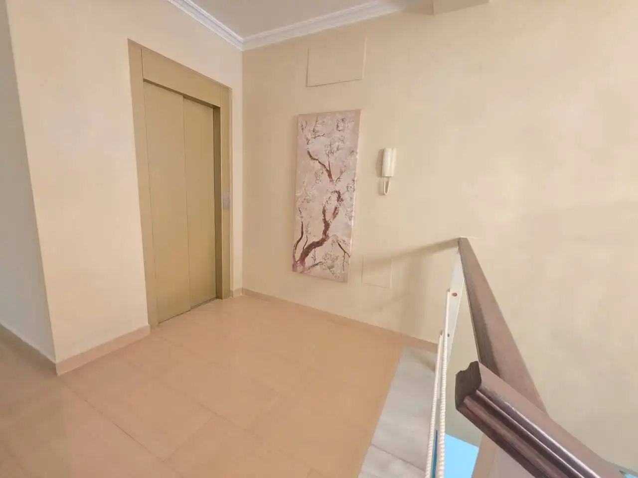 Houses for sale in Chiclana de la Frontera  with Terrace and Swimming Pool