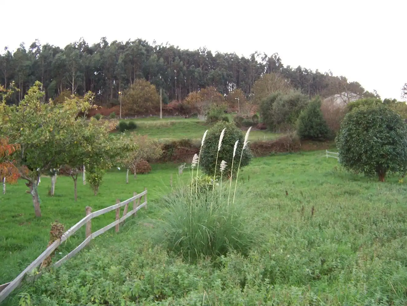 Villa con giardino in vendita a Aldea Corredoira 11, imagen 10