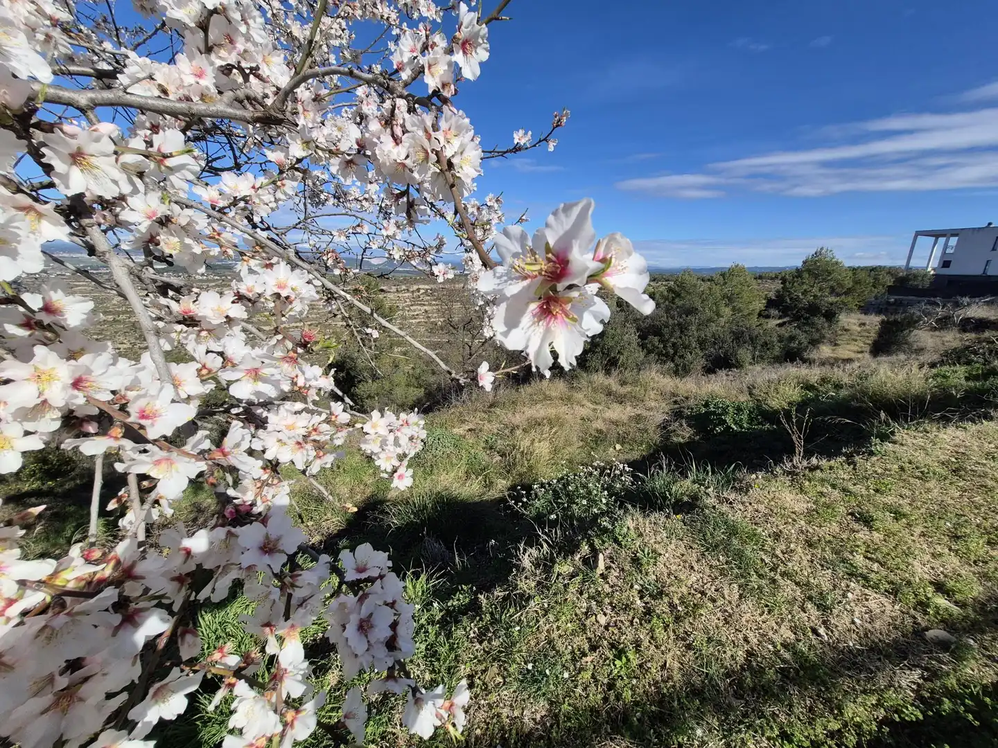 Residential land for sale in de la Llebre 19A, imagen 2
