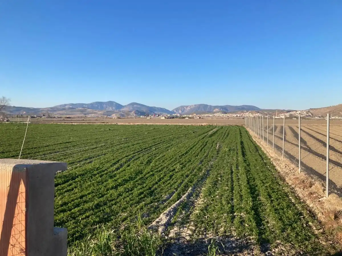 Rustikales Grundstück zum Verkauf in Pinos Puente, imagen 8