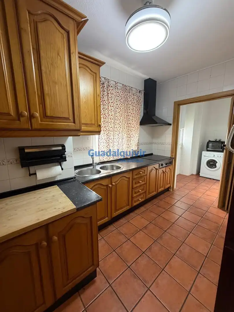 Wohnung zur Miete in Avenida de Europa