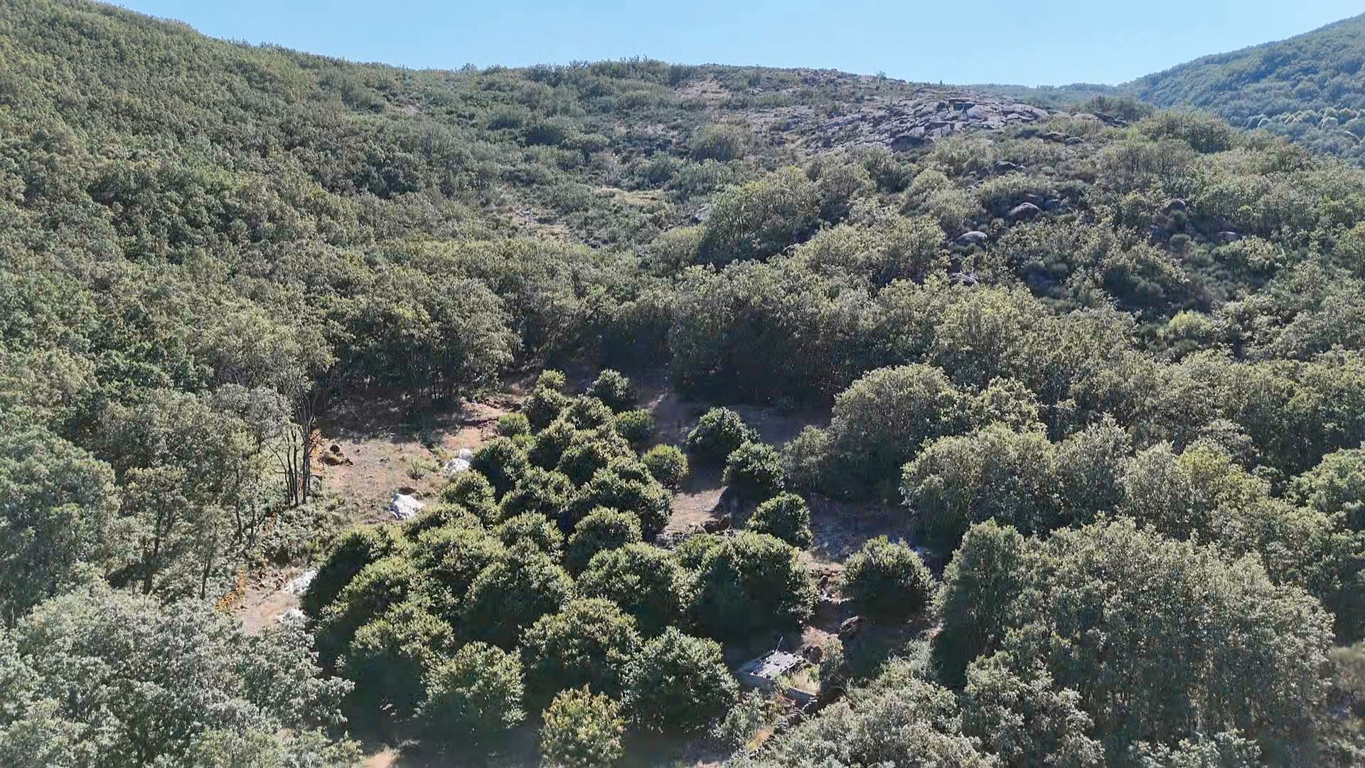 Terreno en venta en Garganta la Olla