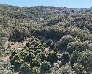 Terreny en venda en Garganta la Olla