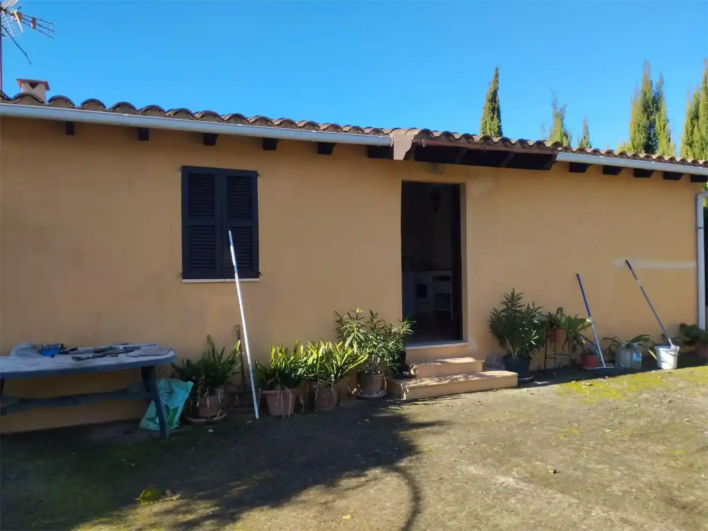 Vista exterior de Finca rústica en venta en Manacor Centre  