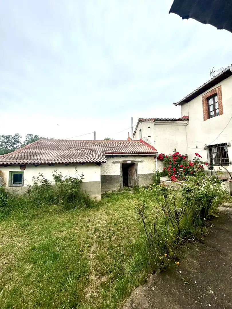 Vista exterior de Finca rústica en venta en Riello con Calefacción