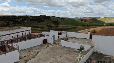 Foto 5 de Finca rústica en venda a Espera, Cádiz