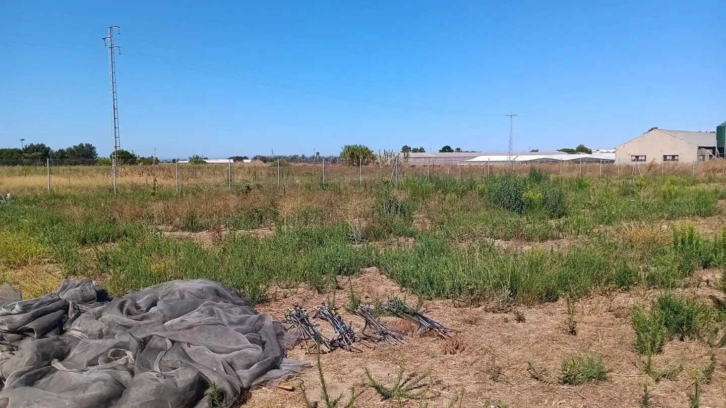 Terreni e lotti in vendita a Los Llanos, imagen 8