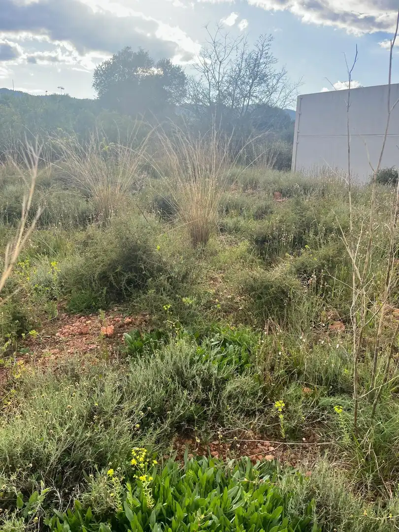 Residential land for sale in Betxí, imagen 5