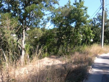 Terrenos y solares en venta en AVELLANER