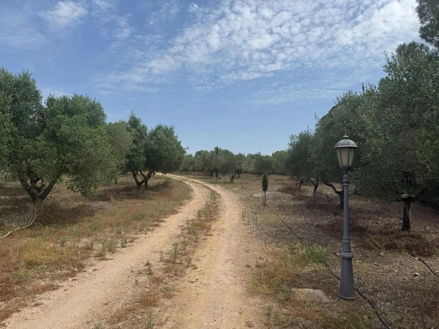 Finca rústica en venda en Banyeres del Penedès amb Calefacció, Jardí privat i Terrassa
