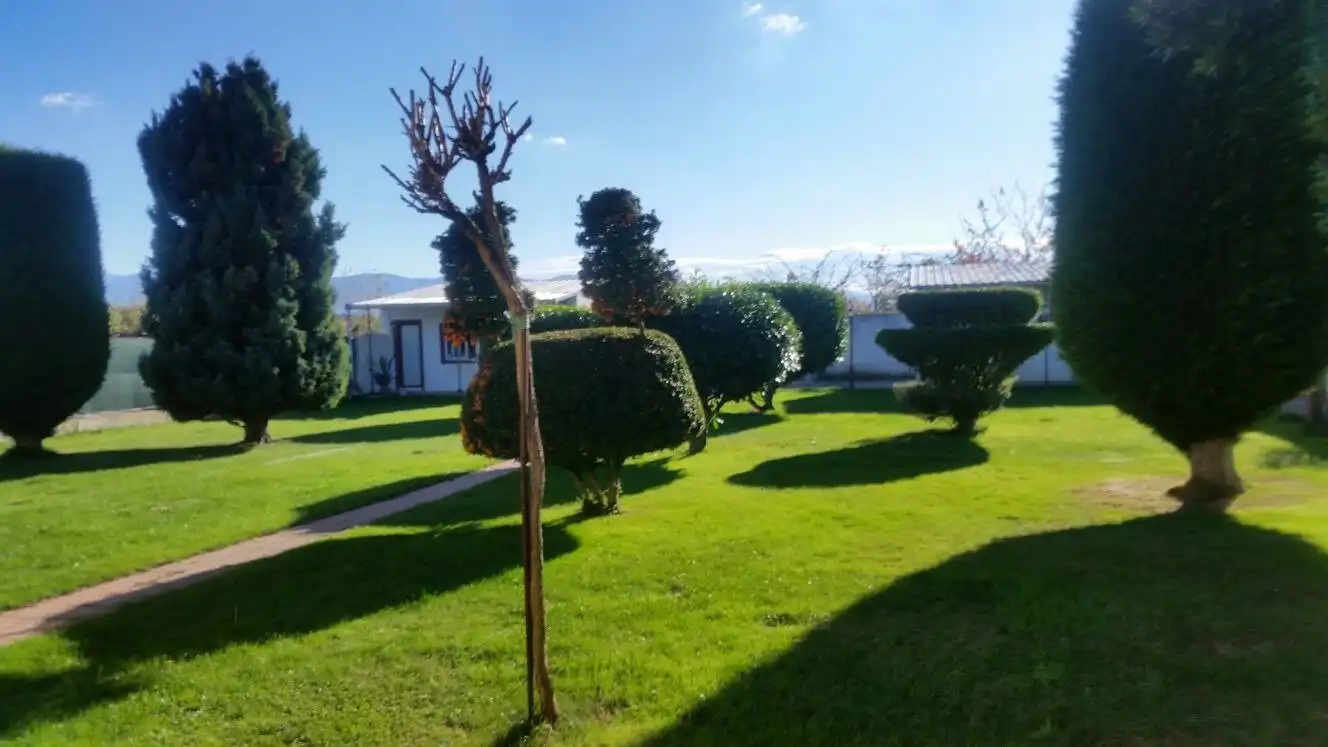 Jardín de Finca rústica en venta en Cabañas Raras con Calefacción, Terraza y Piscina