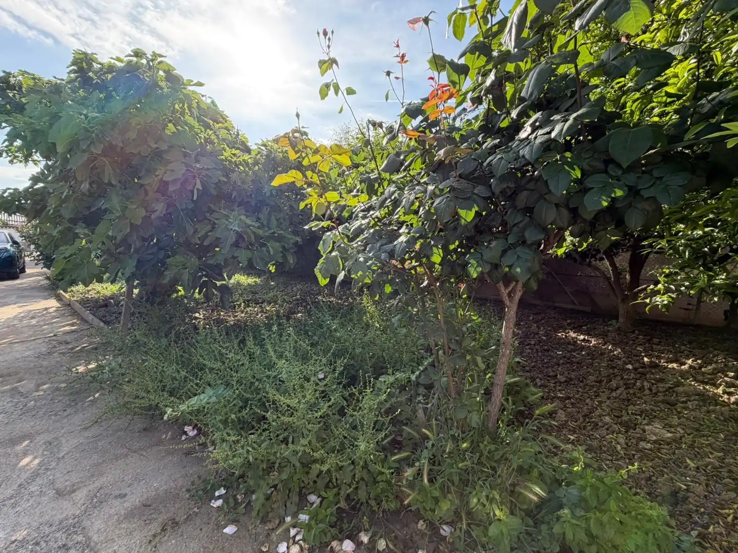 Casa o xalet en venda en Córdoba amb Aire condicionat, Jardí privat i Piscina