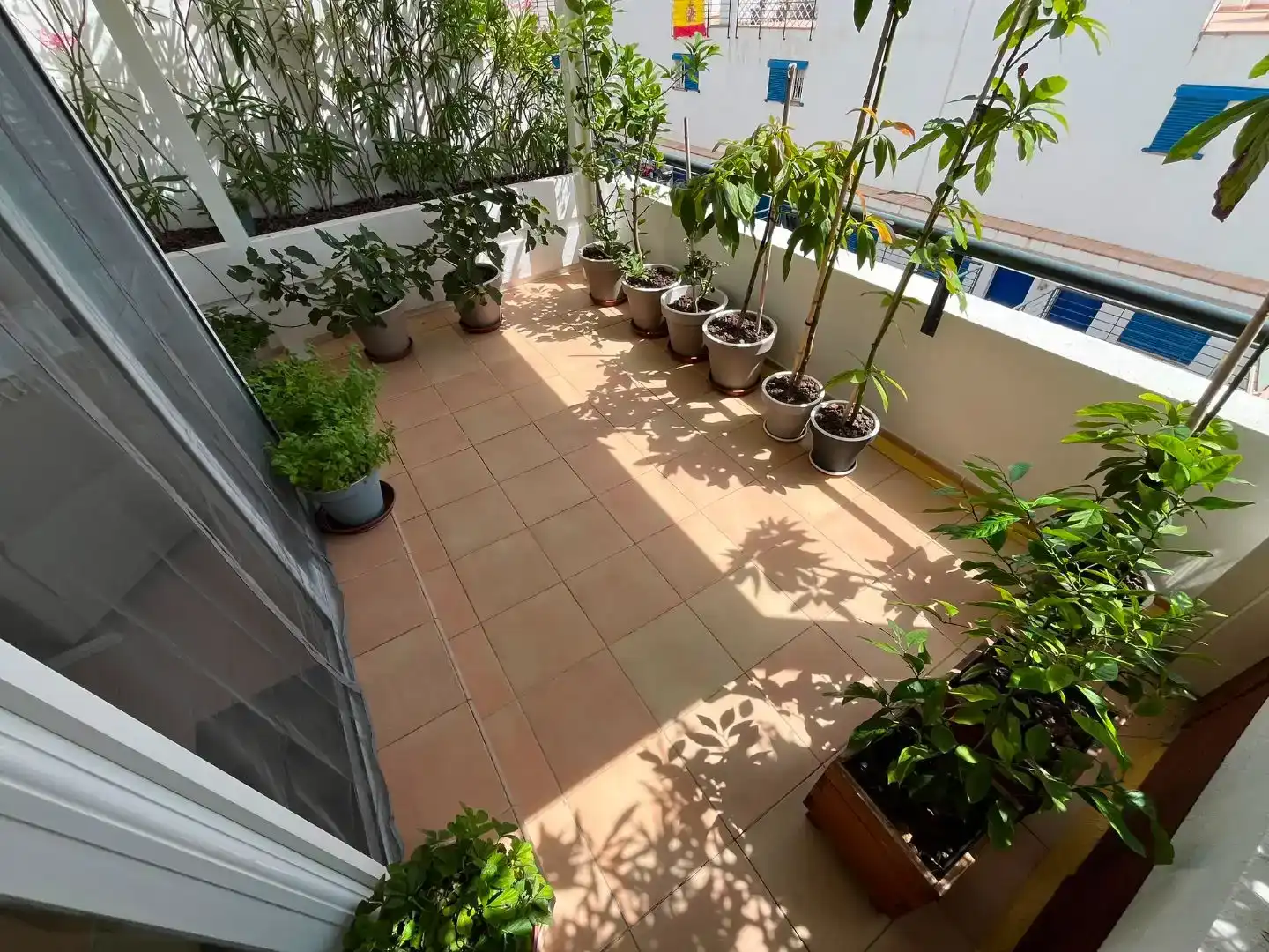 Terrace of Flat for sale in Benalmádena  with Swimming Pool and Balcony