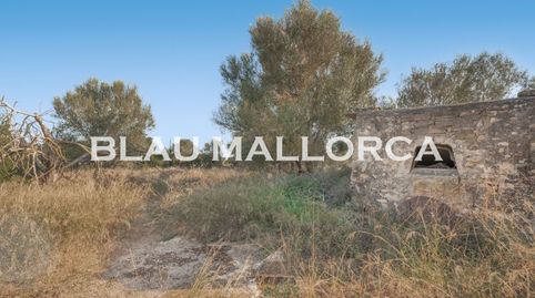 Photo 3 of Country homes for sale in Manacor Centre, Manacor