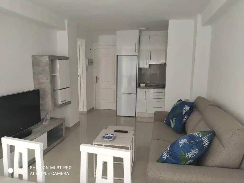 Sala de estar de Piso de alquiler en Algarrobo con Aire acondicionado