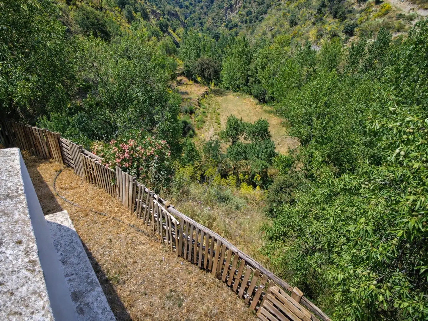Jardín de Finca rústica en venta en Sierro