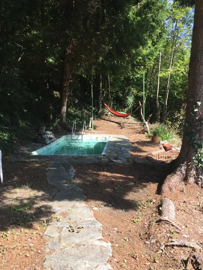 Piscina de Casa o xalet en venda en Molló amb Jardí privat, Terrassa i Piscina