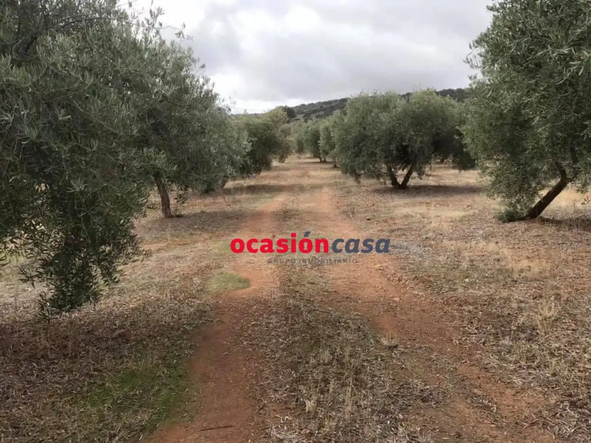 Terreny residencial en venda a Belmez, imagen 4