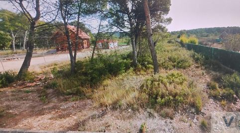 QuerolTerreno, immagine 2