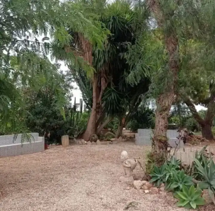 Jardín de Casa o chalet en venta en Elche / Elx con Jardín privado