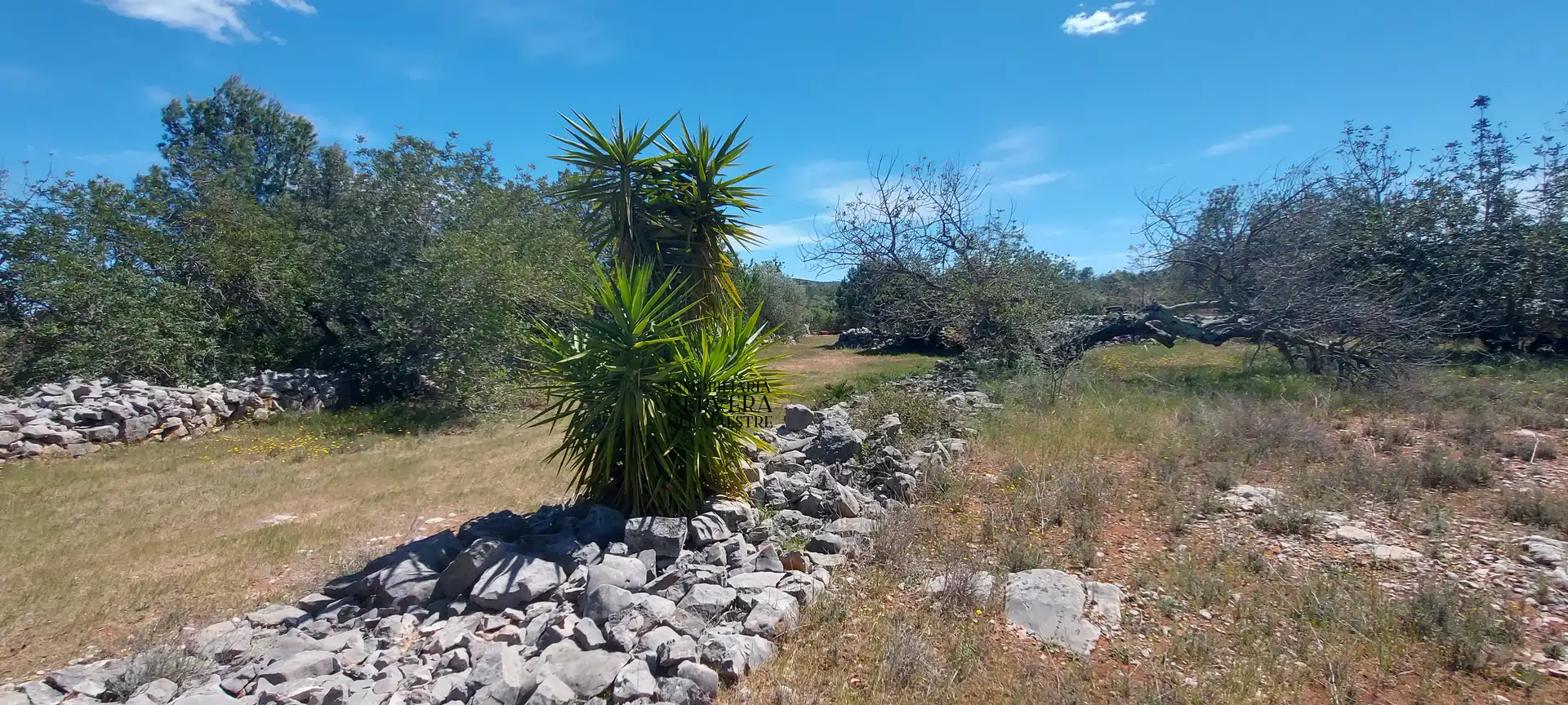 Terreno rustico in vendita a Cervera del Maestre, imagen 26
