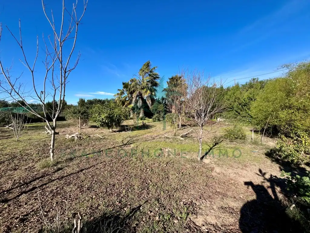 Houses for sale in Cullera