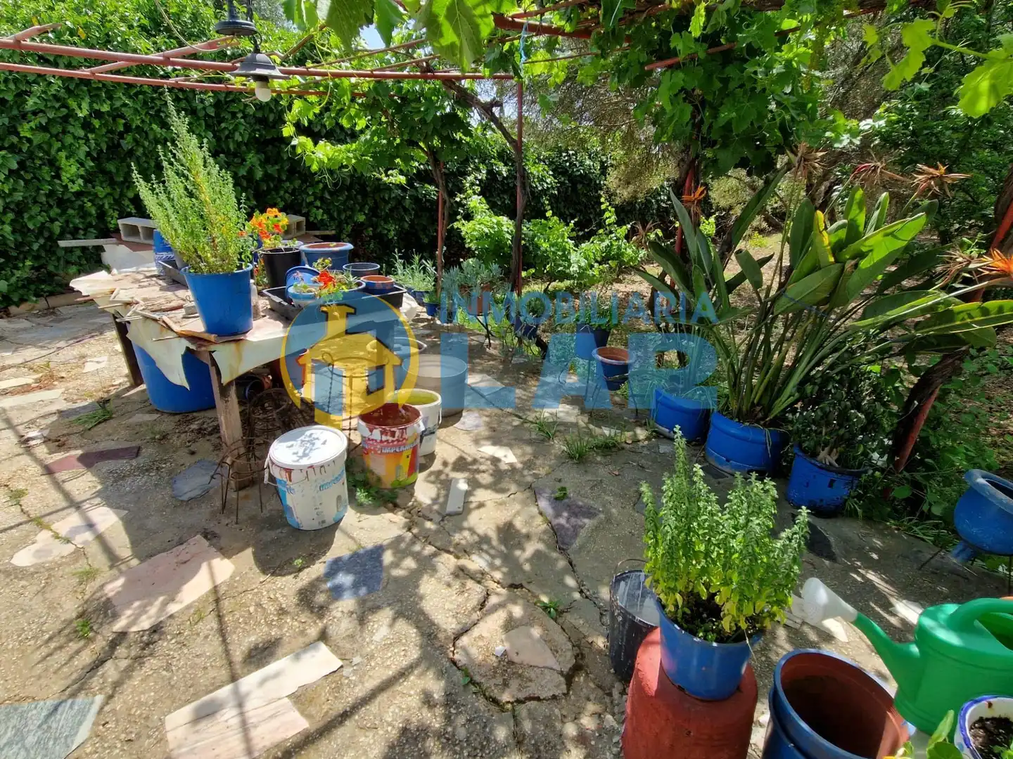Jardín de Casa o chalet en venta en Trigueros