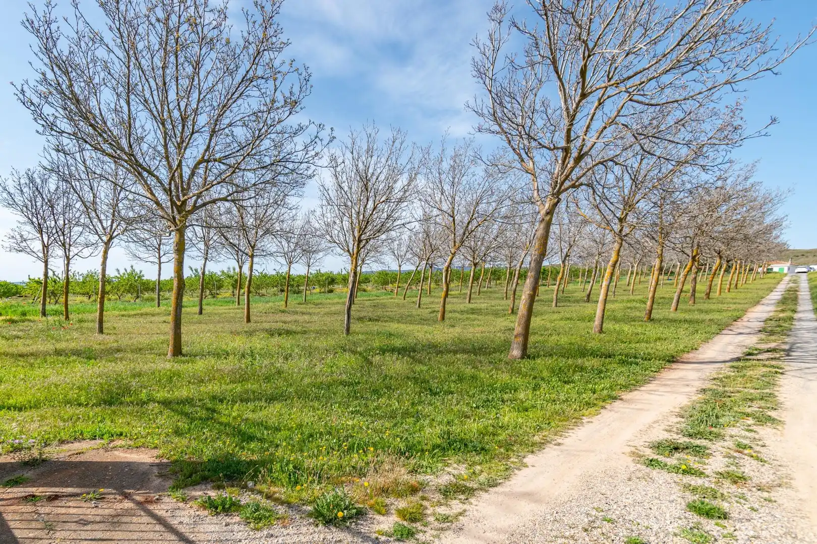 Terreni e lotti in vendita a Padul, imagen 12
