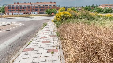 Photo 2 of Land for sale in Petunia, Las Flores, Valladolid