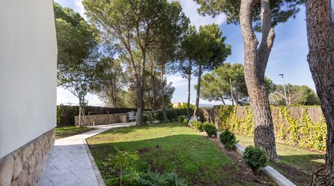 Photo 5 of Houses for sale in Calle Cedros, Pino Alto - Navarredonda, Valdemorillo