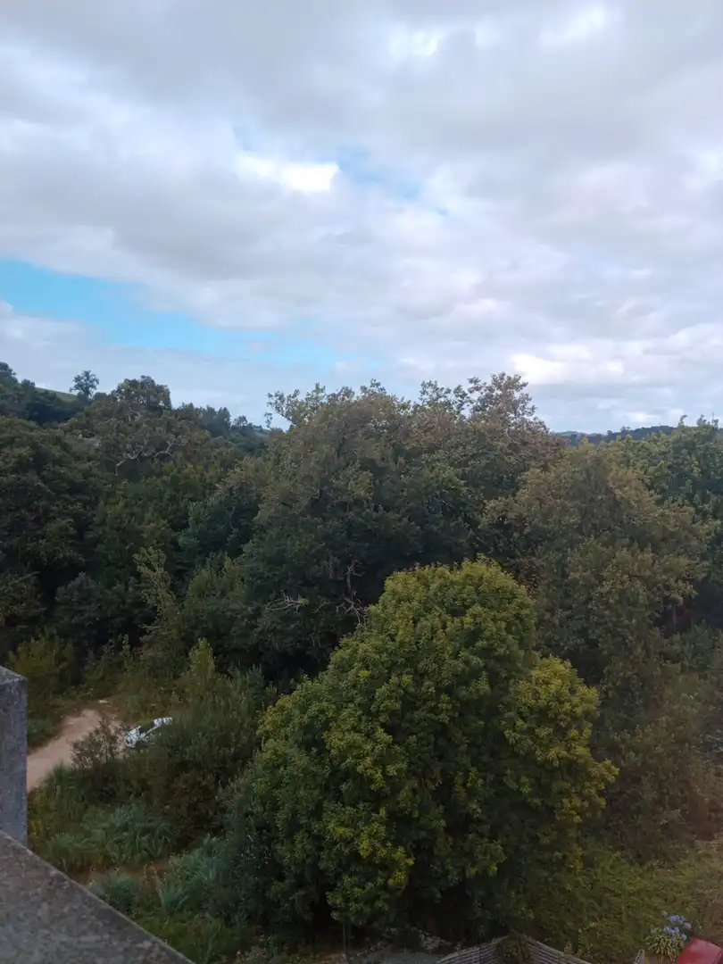 Piso de alquiler en Solares - AV CALVO SOTELO, Solares - Valdecilla