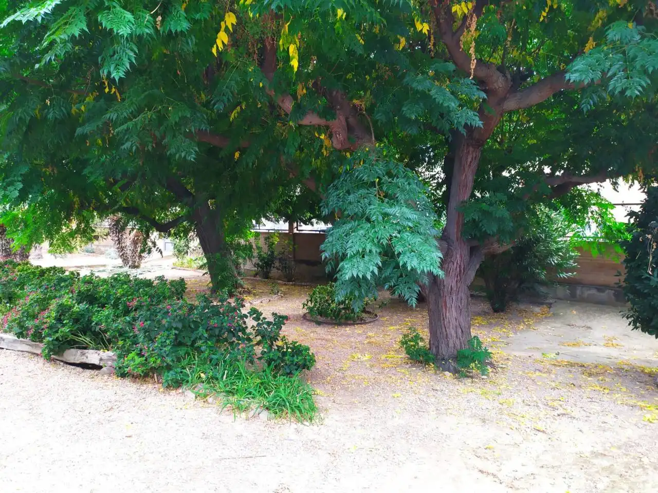 Villa avec jardin à vendre à Calle MELCHOR GUARDIA, imagen 11