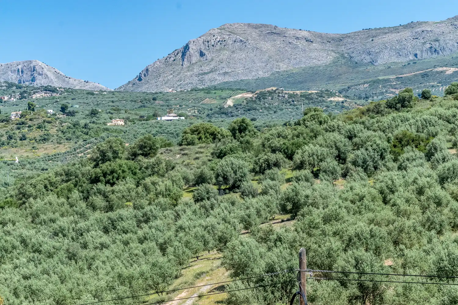 Rustikales Grundstück zum Verkauf in PT Cortijo alto, imagen 9
