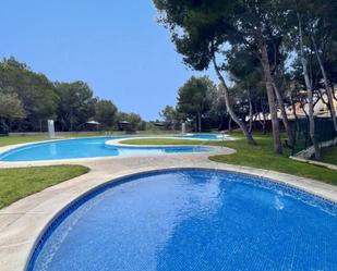 Swimming pool of Apartment for sale in Orihuela