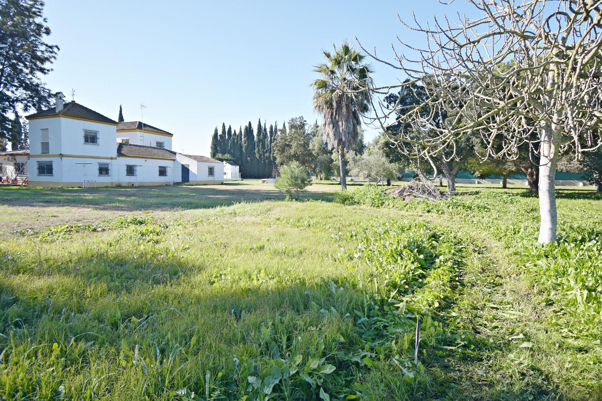 Finca rústica en venda en Jerez de la Frontera amb Aire condicionat, Jardí privat i Traster