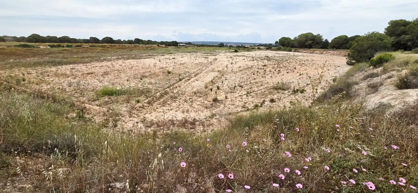 Residential zum Verkauf in Elche / Elx
