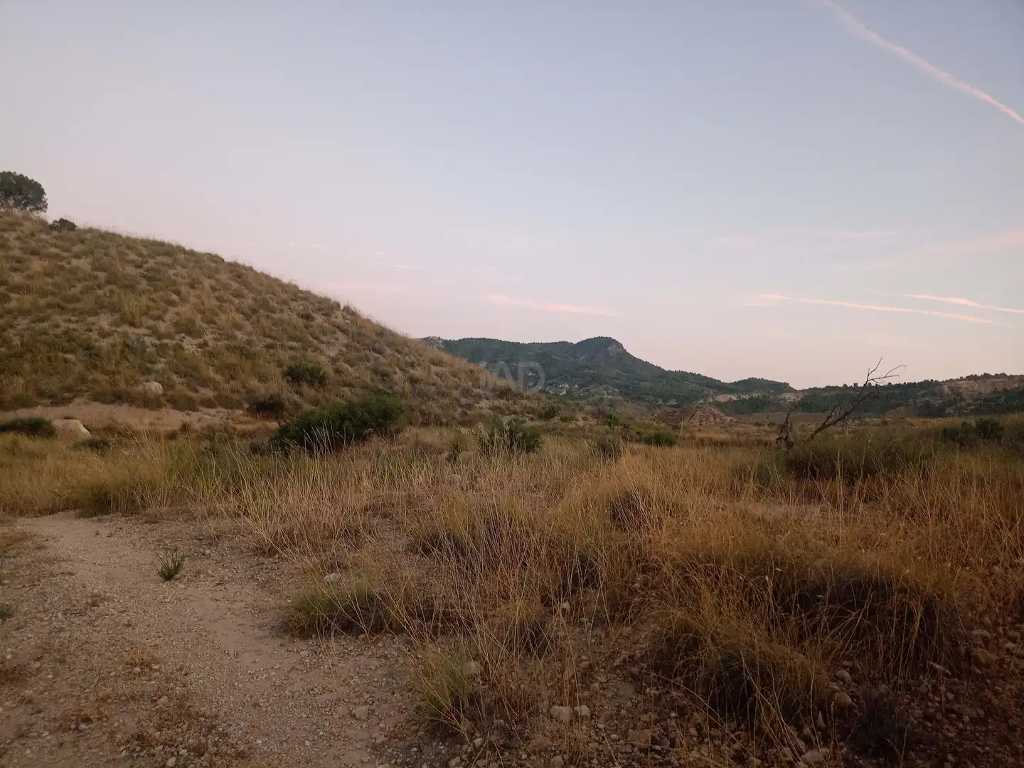 Country homes for sale in Lorca
