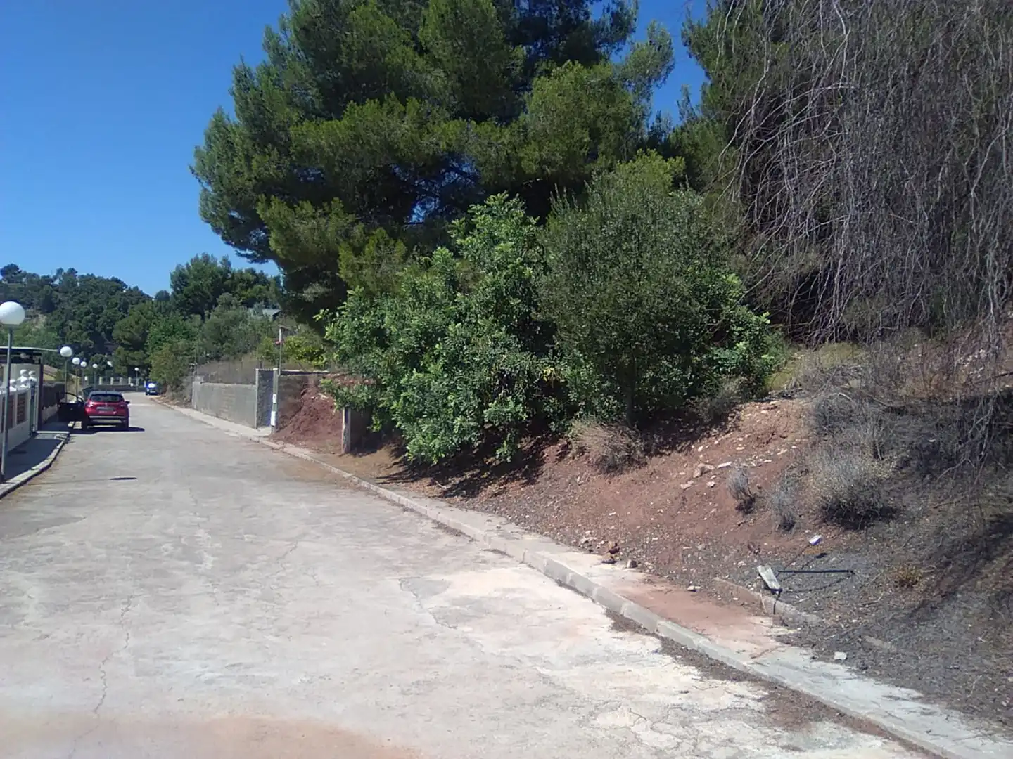 Rural land for sale in Torres Torres, imagen 3