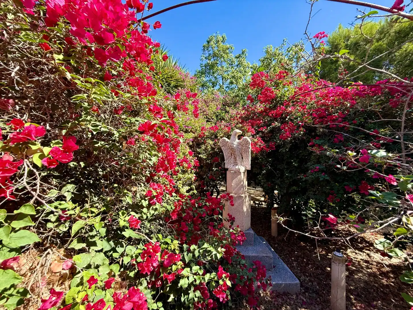 Casa con giardino in vendita a El Mirador Pozo Aledo, imagen 6