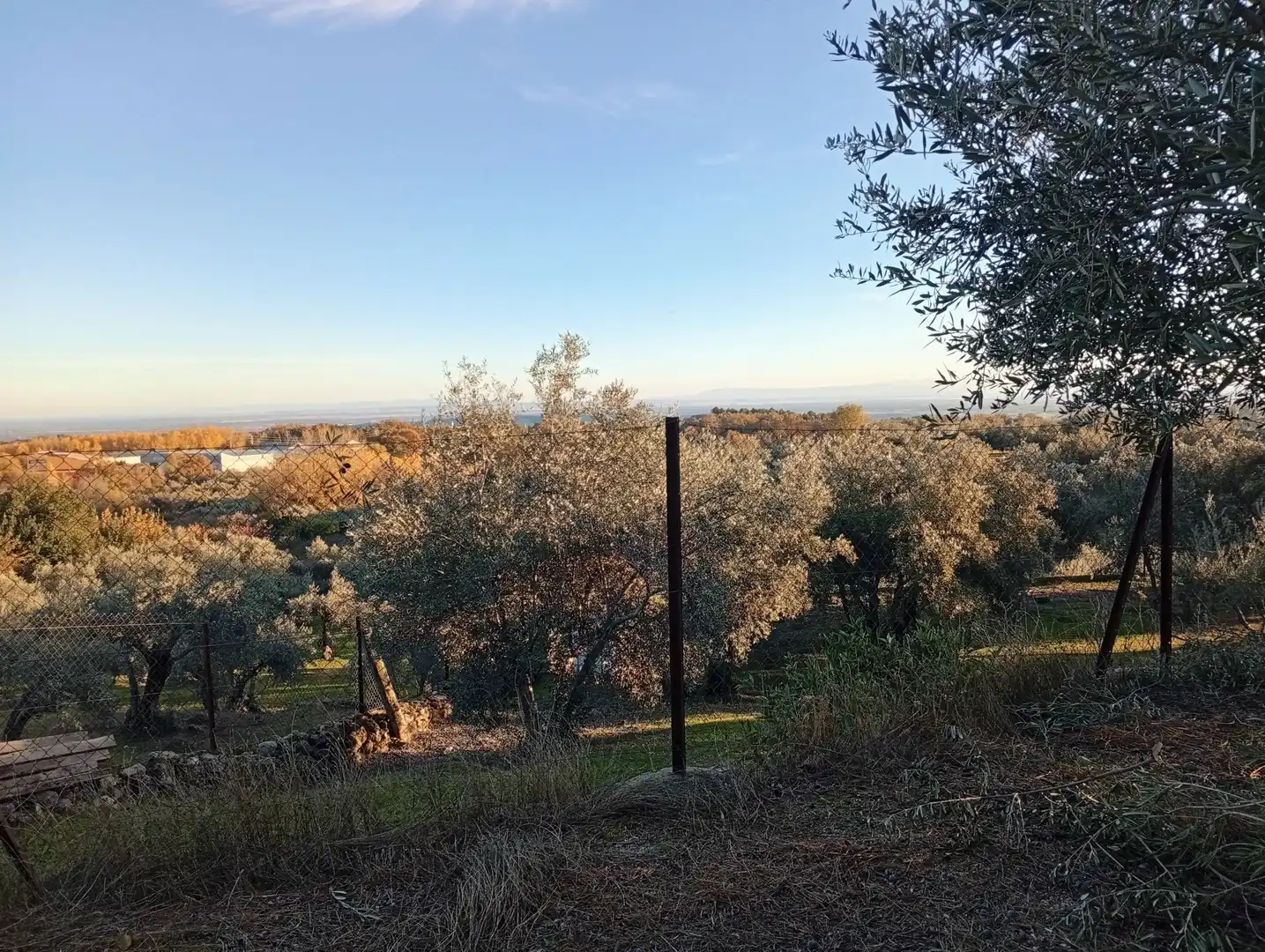 Terreni e lotti in vendita a Villanueva de la Vera, imagen 74