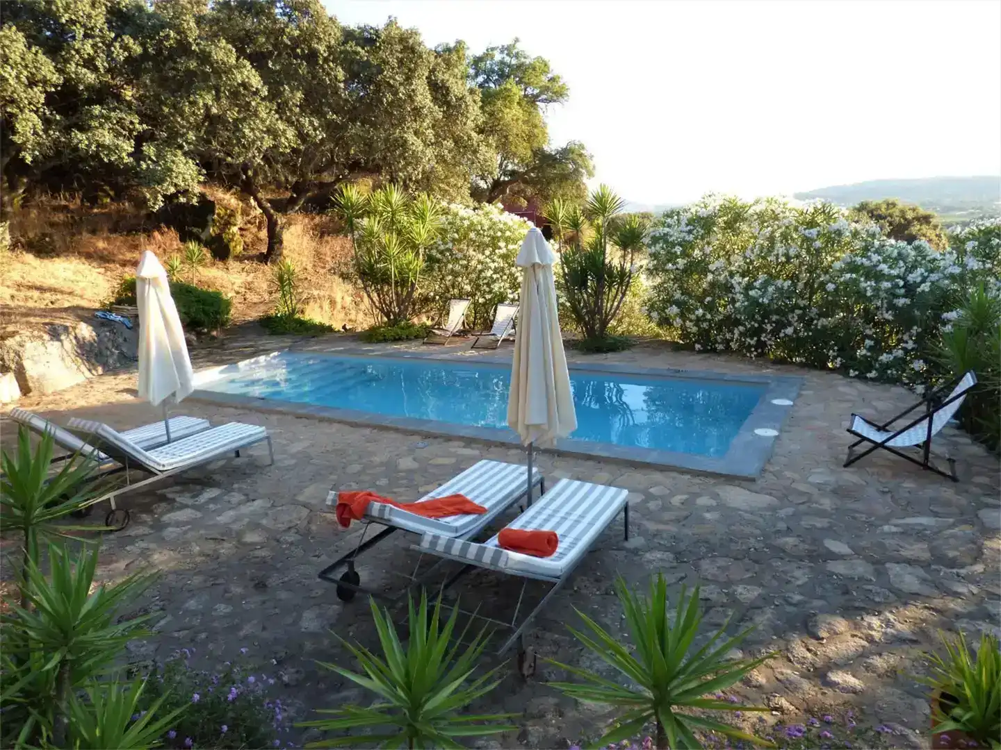 Piscina de Casa o chalet en venta en Montánchez con Jardín privado, Piscina y Balcón