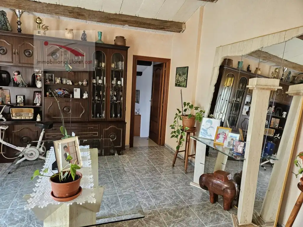Casa o xalet en venda a Terrabrava - Tordera Parc